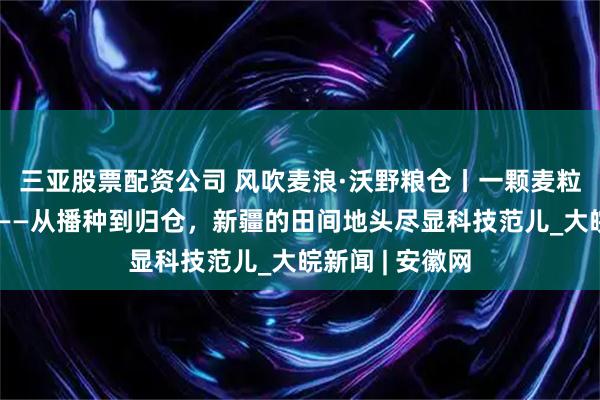 三亚股票配资公司 风吹麦浪·沃野粮仓丨一颗麦粒的现代化旅程——从播种到归仓，新疆的田间地头尽显科技范儿_大皖新闻 | 安徽网